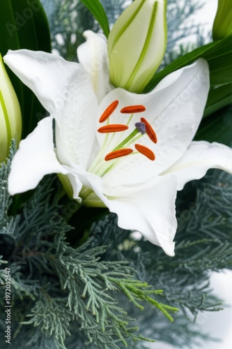 Yuri Hinoki A unique pairing of lilies and cypress flowers highl