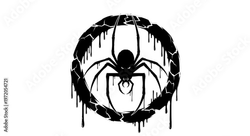 Black spider in a web circle.