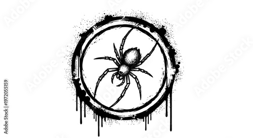 A black widow spider in a circle.