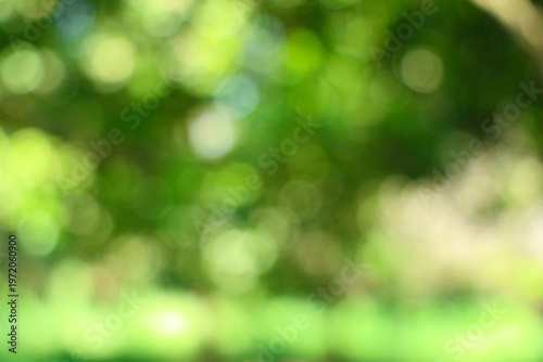 Abstract Blurry Green Nature Bokeh Background