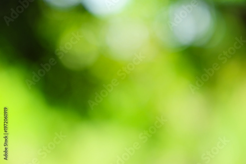 Abstract Blurry Green Nature Bokeh Background