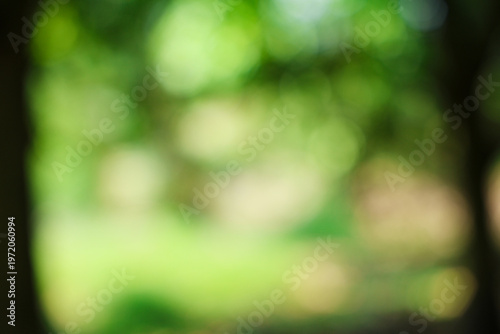 Abstract blurred green nature bokeh background