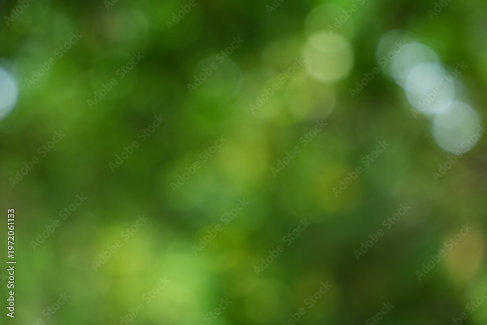 Obraz premium Natural green background with bokeh effect