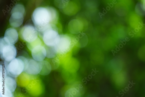 Green Bokeh Lights On Nature Background