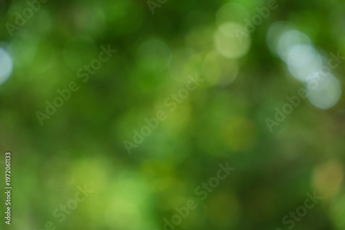 Natural green background with bokeh effect