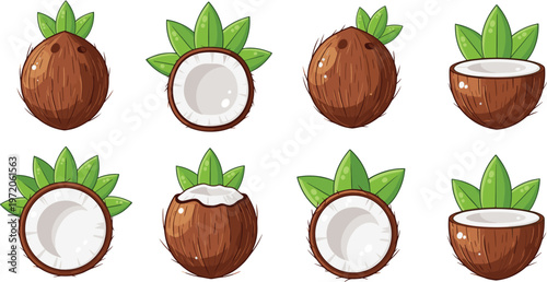 Coconut fruit collection with whole and cut halves showing fresh tropical food illustration set isolated on white background