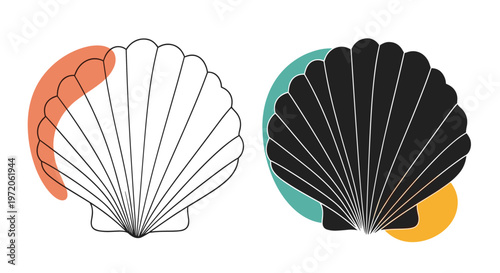 Scallop seashell is presented in both outline and solid black versions with decorative abstract and colorful blobs.