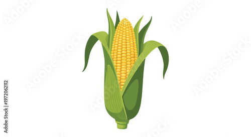 Large ripe ear of yellow corn with green husks is shown in a detailed illustration against a plain white background for agricultural use.