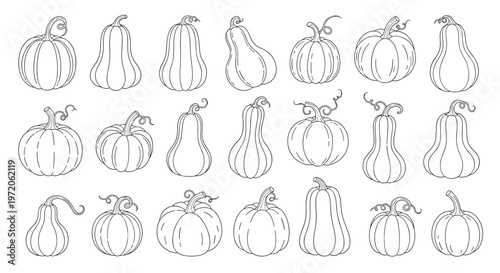 Diverse collection of pumpkin sketches in various shapes and sizes drawn in a clean black and white line art style for autumn decorations.