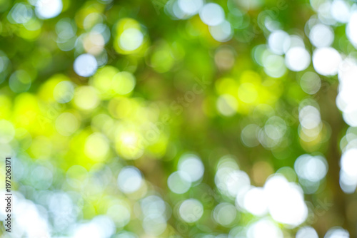 Abstract Green Nature Bokeh Background Texture