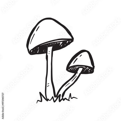Simple black and white sketch illustration of two mushrooms growing from the ground, one large and one small.