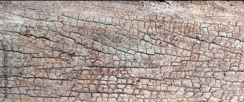 Tableau sur toile Timeless Beauty of Weathered Wood: Rich Grain, Rustic Charm, and the Enduring El