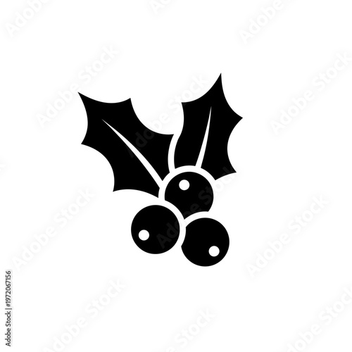 Black holly berry plant graphic design.