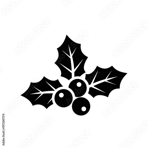 Black holly leaves and berries icon.