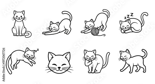Cats in various playful poses.
