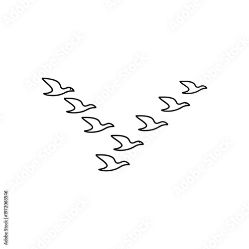 Spring birds flock black and white vector illustration Spring migration birds in V shape line art minimal spring design