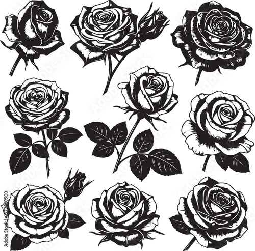 Silhouette lush rose flowers set