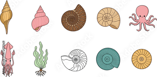 Sea Shell and Marine Life Illustration Set with Nautilus Spiral Shells Octopus Squid and Seaweed in Minimal Cute Ocean Design Collection