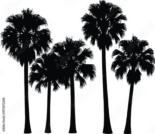 Black screen or void an absence of visual information and total darkness