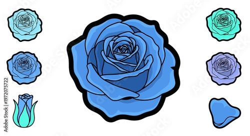 Blue Roses in Various Stages.