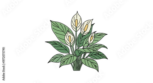 Green plant with white flower buds.