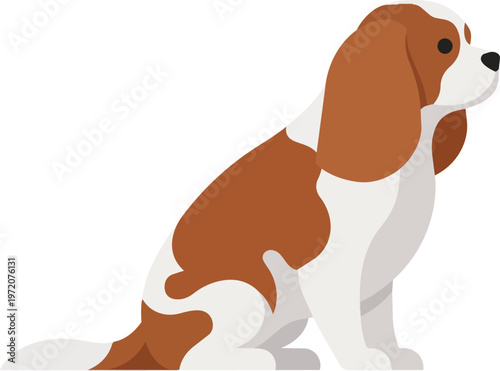 Brown and White Beagle Dog.