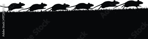 Rat silhouettes running in line on grass, rodent movement, pest concept, animal behavior, and wildlife illustration isolated on white background