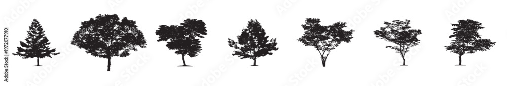Fototapeta premium silhouette tree line drawing set, set of graphics trees elements outline symbol for architecture and landscape design drawing in stroke fill in white. Tropical, vector illustration