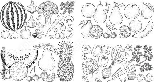 Hand Drawn Fruits and Vegetables Line Art Set with Watermelon, Pear, Citrus, Pineapple, Carrot and Fresh Organic Food Illustration