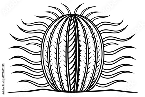 Black and white of a cactus with sun rays behind