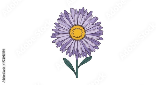 A purple daisy with a yellow center, surrounded by green leaves, against a white background.