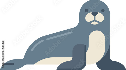 Seal Cartoon Animal Illustration.