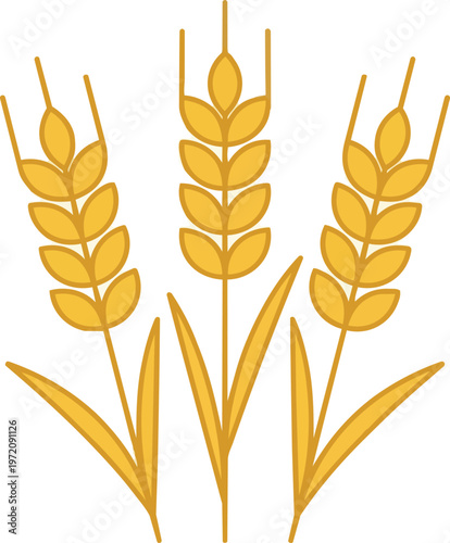 Golden Wheat Ears Illustration.