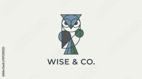 Wise and Co Owl Logo.