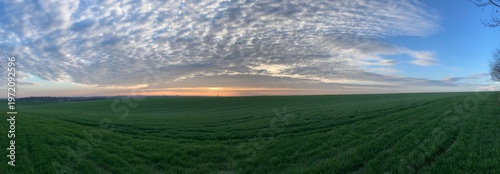 Morning mist drifting over an open field, illuminated by soft early sunlight. The scene captures a atmospheric countryside landscape with gentle fog, muted colors, and a calm start to the day.