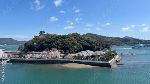Tableau sur toile 三重県鳥羽市のミキモト真珠島に咲く美しい桜と伊勢志摩の青い海、歴史的な白壁の建築物と満開のさくらが織りなす春の風景、観光フェリーが行き交う穏やかな鳥羽湾の背景素