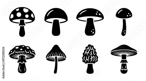Diverse mushroom silhouettes collection featuring unique cap and stem shapes for botanical study, design inspiration, and natural illustration projects