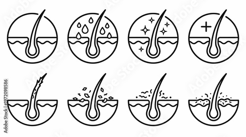 Hair follicle icons collection showing scalp health hydration shine treatment growth damage stimulation strengthening revitalization illustration concept