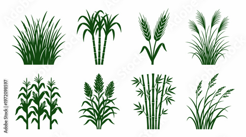 Plant icons collection showing wheat corn cattails sugarcane grass leafy herb vegetation silhouette illustration botanical concept