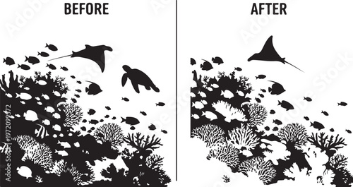 Coral Reef Ecosystem Transformation Before and After Conservation Efforts