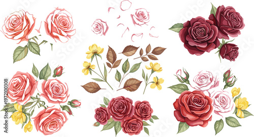 Watercolor Rose Floral Bouquet Collection with Red and Pink Roses, Botanical Leaves and Romantic Flower Arrangements Vector Illustration