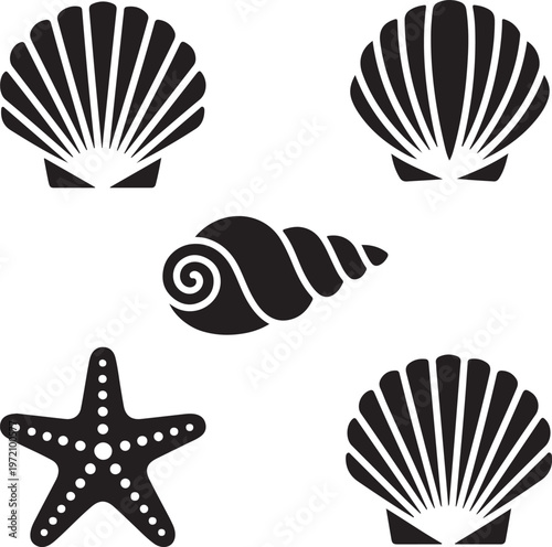 Collection of iconic black and white seashell and starfish illustrations