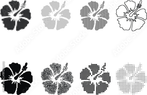 Hibiscus Flower Art Collection