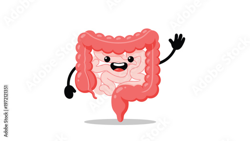 Happy and smiling human large intestine character with small black limbs waving its hand to represent good digestive health and wellness.