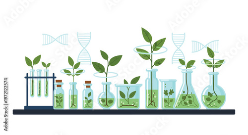 Various glass laboratory containers with green plants and visible DNA helices on a dark shelf for botanical research.