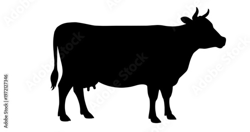 Cow Silhouette Vector – Black Dairy Animal with Horns, Udder, and Tail on White Background