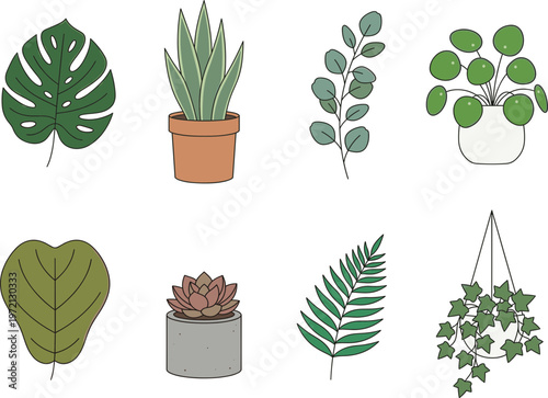 Collection of Various Potted and Hanging Houseplants and Leaves