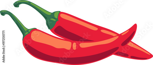 Red Chili Pepper Illustration