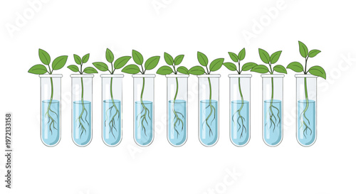 Pristine row of nine glass test tubes contains healthy green plant sprouts with detailed root structures submerged in clear blue water against a white backdrop.