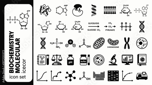 Biochemistry Molecular Biology Bold Line Icons-ATP Enzyme Metabolic Pathway Protein Folding Lipid Bilayer Citric Acid Glycolysis-25 Biochemistry Icon Set Vector - Molecular Icons